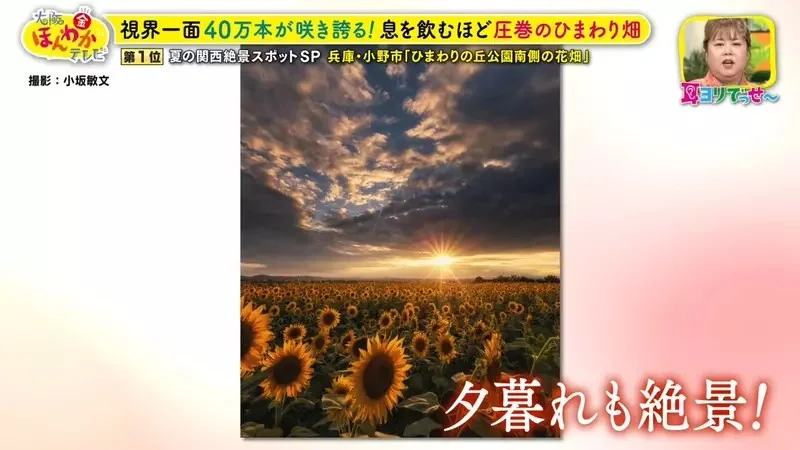 職業攝影師推薦《日本關西地區５大必拍景點》今年夏天不拍就要等明年｜高清图片集
