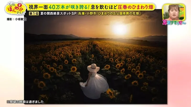 職業攝影師推薦《日本關西地區５大必拍景點》今年夏天不拍就要等明年｜高清图片集