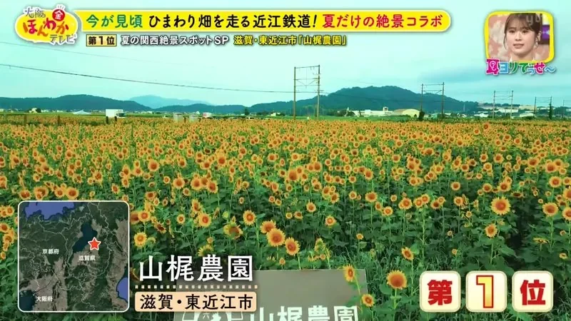 職業攝影師推薦《日本關西地區５大必拍景點》今年夏天不拍就要等明年｜高清图片集