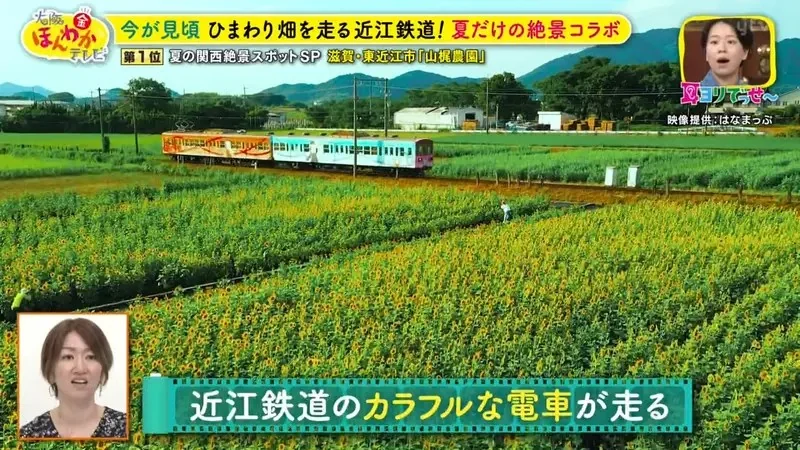 職業攝影師推薦《日本關西地區５大必拍景點》今年夏天不拍就要等明年｜高清图片集