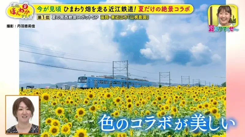 職業攝影師推薦《日本關西地區５大必拍景點》今年夏天不拍就要等明年｜高清图片集