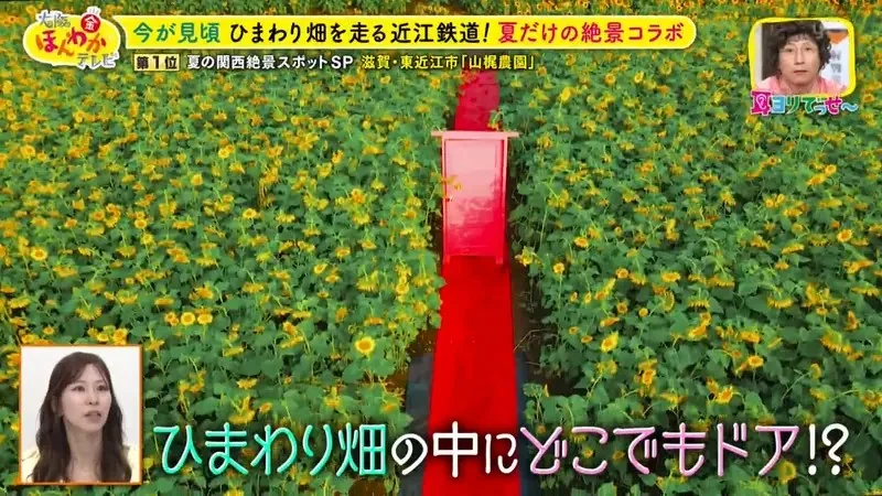 職業攝影師推薦《日本關西地區５大必拍景點》今年夏天不拍就要等明年｜高清图片集
