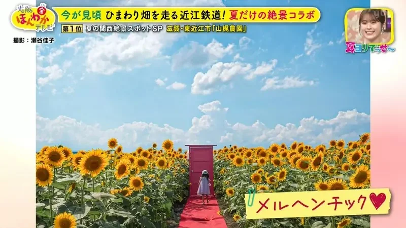 職業攝影師推薦《日本關西地區５大必拍景點》今年夏天不拍就要等明年｜高清图片集